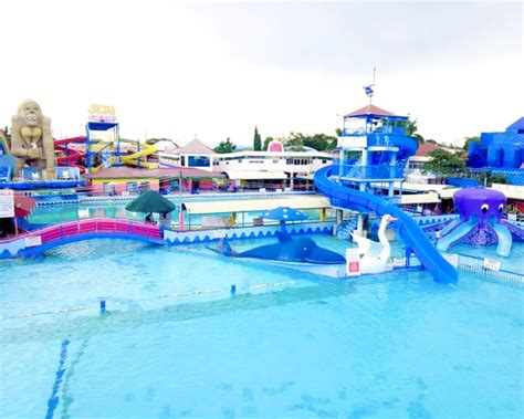 jeds island resort open today|About – Jeds Island Resort.